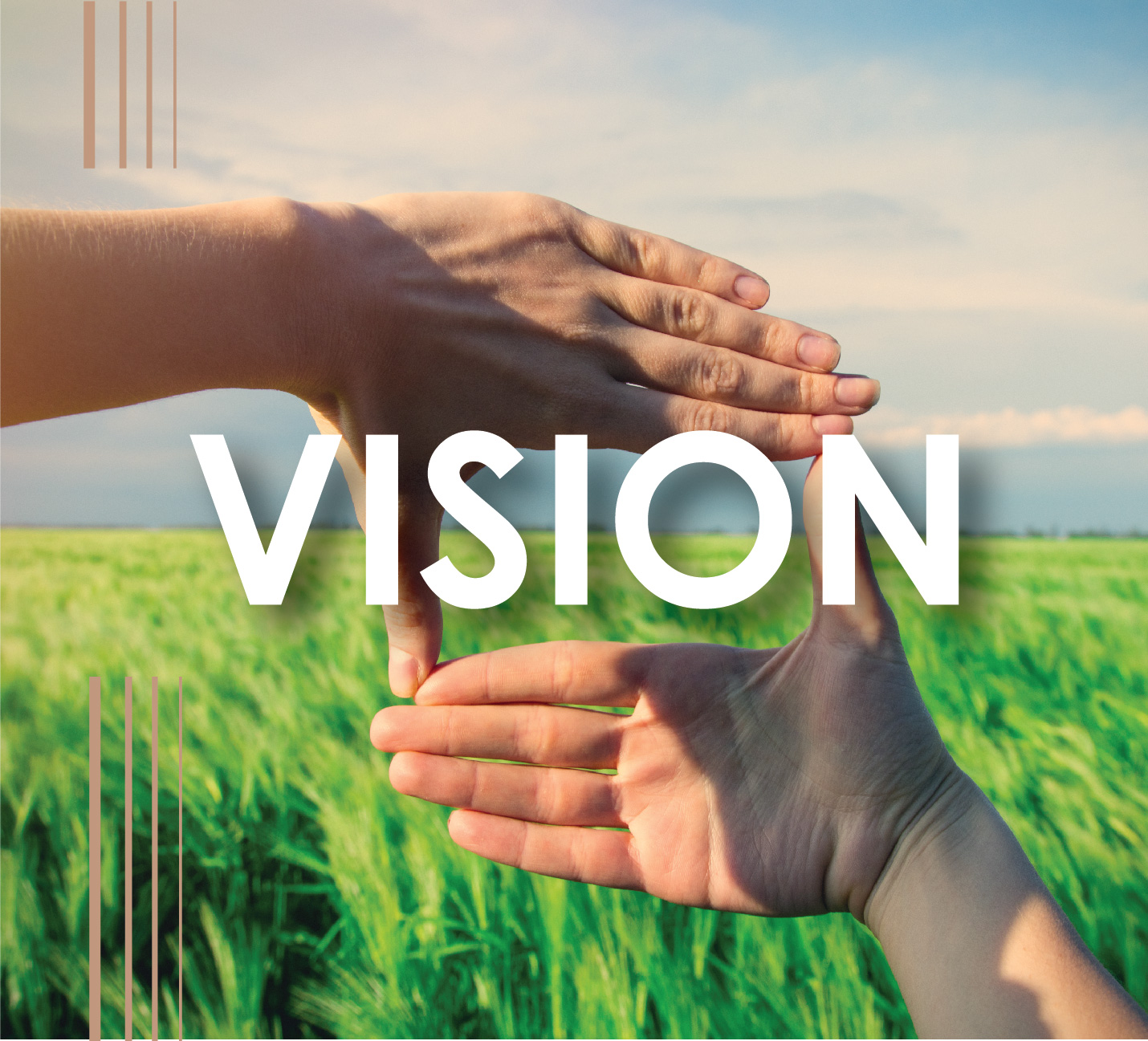 Vision"